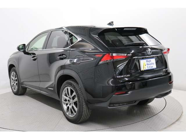 NX300h Iパッケージ