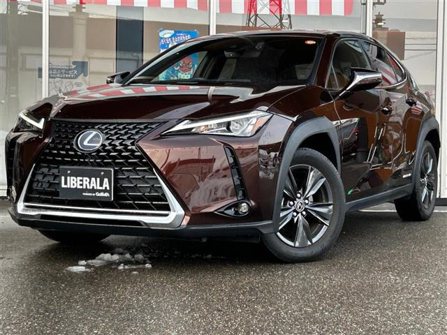 UX250h バージョンC