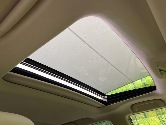 �y�T�����[�t�z�J���������Ղ�̊󏭑����A�T�����[�t����������Ă��܂�!�ԓ��ɖ�����������ꂽ��i�F���y���ވȊO�ɂ��A�ԓ��̋�C���ȒP�Ɋ��C�ł��ĉ��K�ł�!