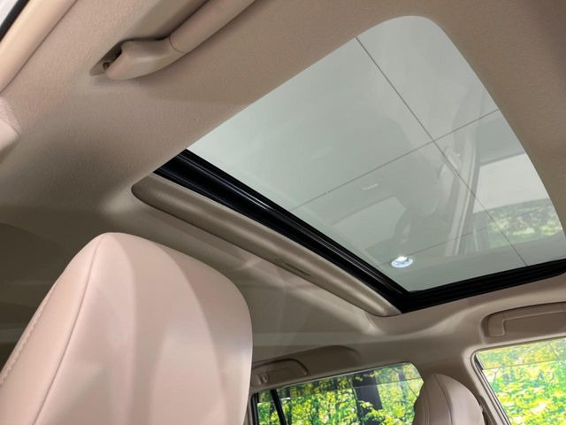 �y�T�����[�t�z�J���������Ղ�̊󏭑����A�T�����[�t����������Ă��܂�!�ԓ��ɖ�����������ꂽ��i�F���y���ވȊO�ɂ��A�ԓ��̋�C���ȒP�Ɋ��C�ł��ĉ��K�ł�!