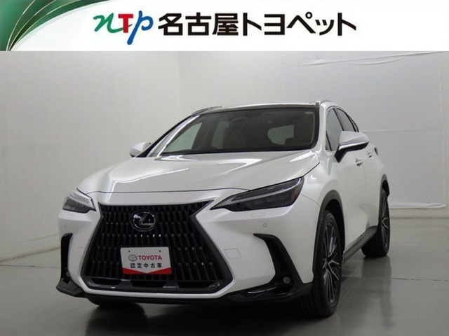 NX250 バージョンL