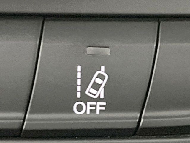 �����[���L�[�s���O�A�V�X�g:���s�Ԑ��̈�E�������Ă����@�\�B���s���ɁA�N���}���Ԑ�����O��Ă��邱�Ƃ��J���������m����ƁA�X�e�A�����O����U�������ăh���C�o�[�Ɍx�����܂��B