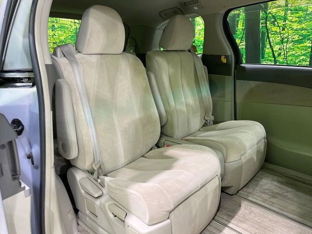 �㕔���Ȃ��C�ɂȂ�悤�ȃL�Y�E�����ւ��蓙�A�傫�ȃ_���[�W�͂Ȃ��A�ǍD�ȏ�Ԃł��B