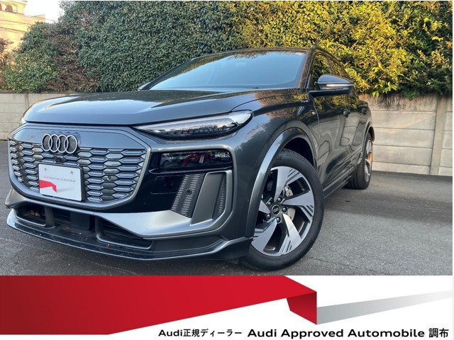 Q6 e-tronクワトロ アドバンスト Sラインパッケージ 4WD