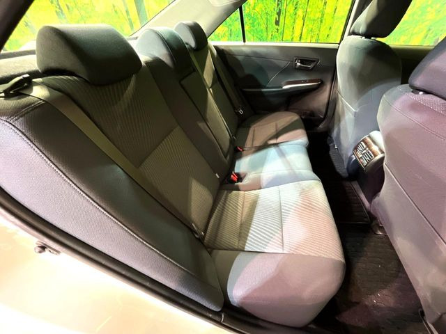 �㕔���Ȃ��C�ɂȂ�悤�ȃL�Y�E�����ւ��蓙�A�傫�ȃ_���[�W�͂Ȃ��A�ǍD�ȏ�Ԃł��B