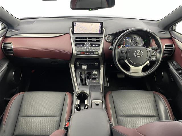 NX300 スパイス&amp;シック