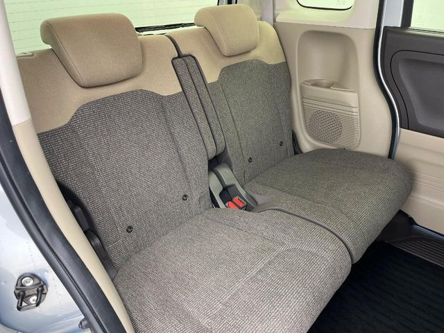 �㕔���Ȃ��C�ɂȂ�悤�ȃL�Y�E�����ւ��蓙�A�傫�ȃ_���[�W�͂Ȃ��A�ǍD�ȏ�Ԃł��B