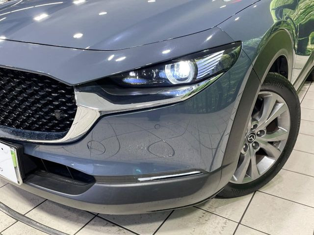 �yLED�w�b�h���C�g�z���V����ԑ��s�����ǍD�Ȏ��E���m�ۂ����S���ĉ^�]�ł��鍂�P�xLED�w�b�h���C�g�𑕔�!�_�����x�������A����d�͂��}�����Ă��܂��B