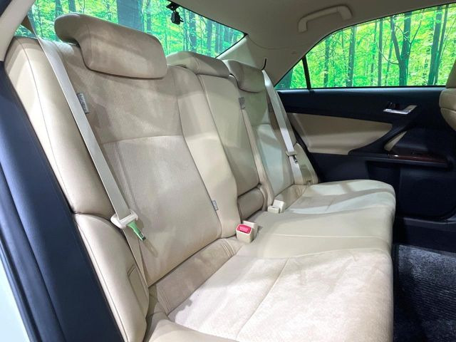 �㕔���Ȃ��C�ɂȂ�悤�ȃL�Y�E�����ւ��蓙�A�傫�ȃ_���[�W�͂Ȃ��A�ǍD�ȏ�Ԃł��B