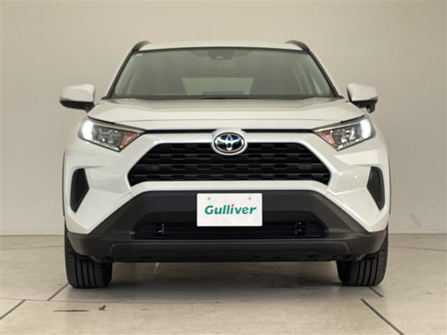 RAV42.0 X