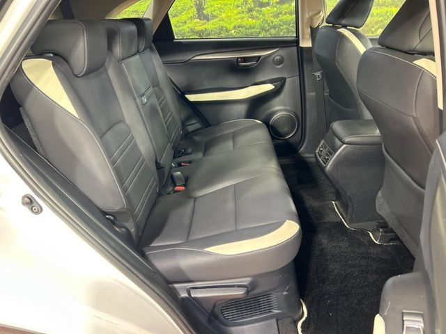 �㕔���Ȃ��C�ɂȂ�悤�ȃL�Y�E�����ւ��蓙�A�傫�ȃ_���[�W�͂Ȃ��A�ǍD�ȏ�Ԃł��B