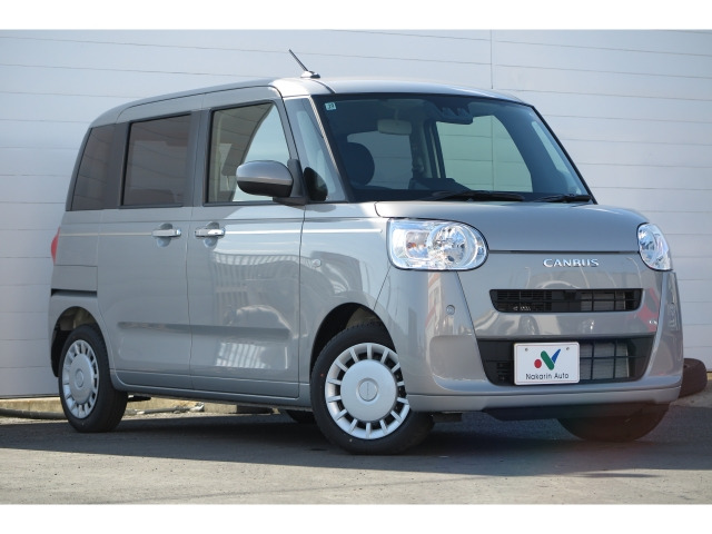 ムーヴキャンバスセオリー X