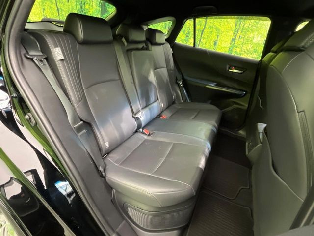 �㕔���Ȃ��C�ɂȂ�悤�ȃL�Y�E�����ւ��蓙�A�傫�ȃ_���[�W�͂Ȃ��A�ǍD�ȏ�Ԃł��B