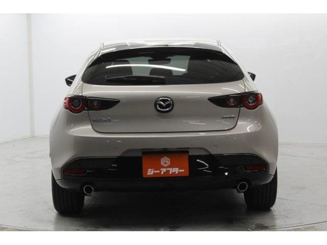 ���Ǝҗl�ւ̔̔��͂��f�肳���Ă��������܂��B �Ԍ������ԗ��̏ꍇ�́A�Ԍ����擾�������x�������z�ŕ\�����Ă���܂��B