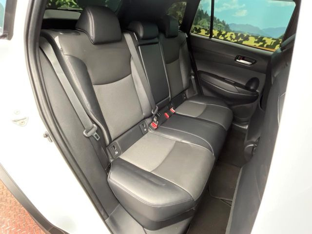 �㕔���Ȃ��C�ɂȂ�悤�ȃL�Y�E�����ւ��蓙�A�傫�ȃ_���[�W�͂Ȃ��A�ǍD�ȏ�Ԃł��B