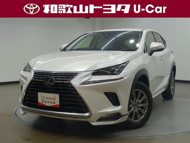 NX300 Iパッケージ