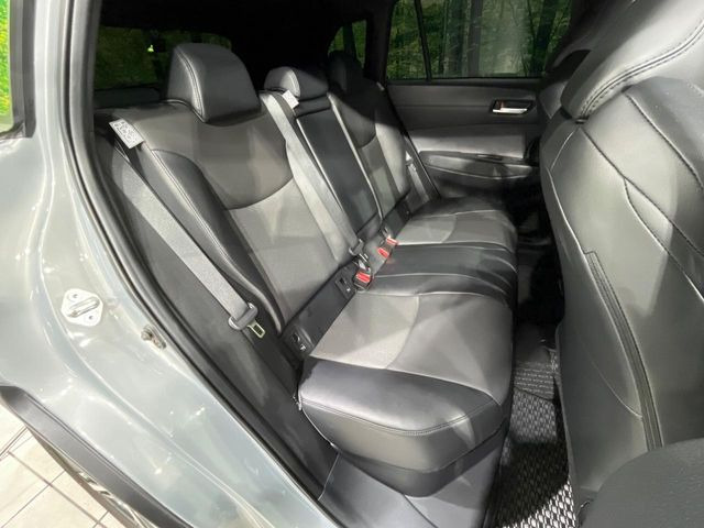 �㕔���Ȃ��C�ɂȂ�悤�ȃL�Y�E�����ւ��蓙�A�傫�ȃ_���[�W�͂Ȃ��A�ǍD�ȏ�Ԃł��B