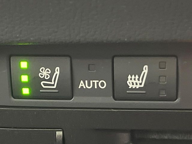 �y�V�[�g�x���`���[�V�����z�ď�͗��������ł��K��w���̔M�⃀����h���A�~�̓G�A�R�������������܂��ă|�J�|�J��!�G�߂��킸���K�ɉ߂����܂��B