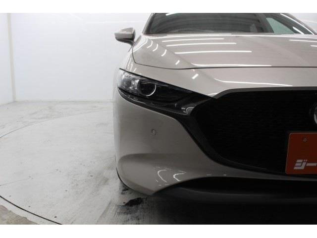 ���Ǝҗl�ւ̔̔��͂��f�肳���Ă��������܂��B �Ԍ������ԗ��̏ꍇ�́A�Ԍ����擾�������x�������z�ŕ\�����Ă���܂��B