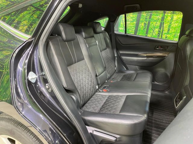 �㕔���Ȃ��C�ɂȂ�悤�ȃL�Y�E�����ւ��蓙�A�傫�ȃ_���[�W�͂Ȃ��A�ǍD�ȏ�Ԃł��B