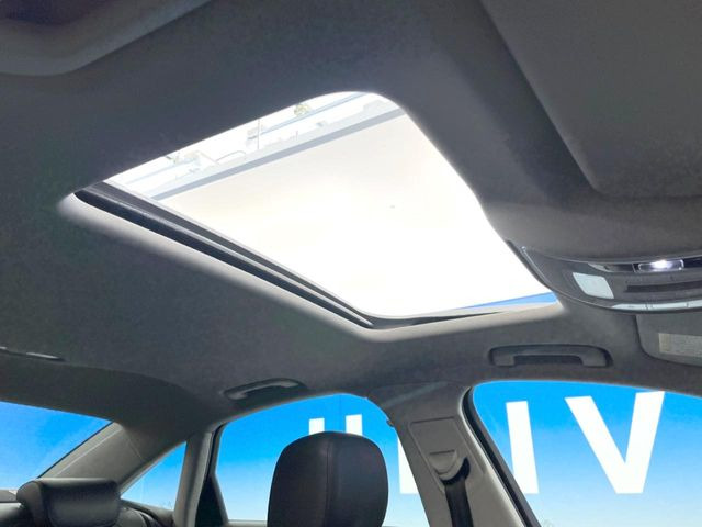 ���T�����[�t:�J���������Ղ�̊󏭑����A�T�����[�t����������Ă��܂�!�ԓ��ɖ�����������ꂽ��i�F���y���ވȊO�ɂ��A�ԓ��̋�C���ȒP�Ɋ��C�ł��ĉ��K�ł�!