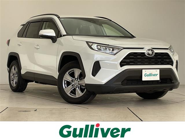 RAV42.0 X