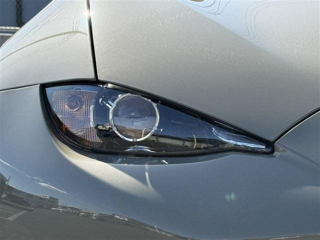 ���Ǝҗl�ւ̔̔��͂��f�肳���Ă��������܂��B �Ԍ������ԗ��̏ꍇ�́A�Ԍ����擾�������x�������z�ŕ\�����Ă���܂��B