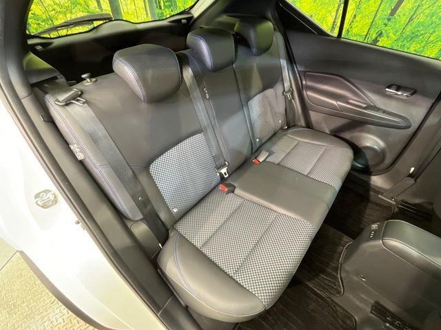 �㕔���Ȃ��C�ɂȂ�悤�ȃL�Y�E�����ւ��蓙�A�傫�ȃ_���[�W�͂Ȃ��A�ǍD�ȏ�Ԃł��B