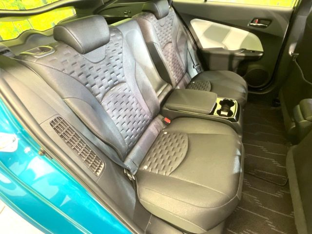 �㕔���Ȃ��C�ɂȂ�悤�ȃL�Y�E�����ւ��蓙�A�傫�ȃ_���[�W�͂Ȃ��A�ǍD�ȏ�Ԃł��B