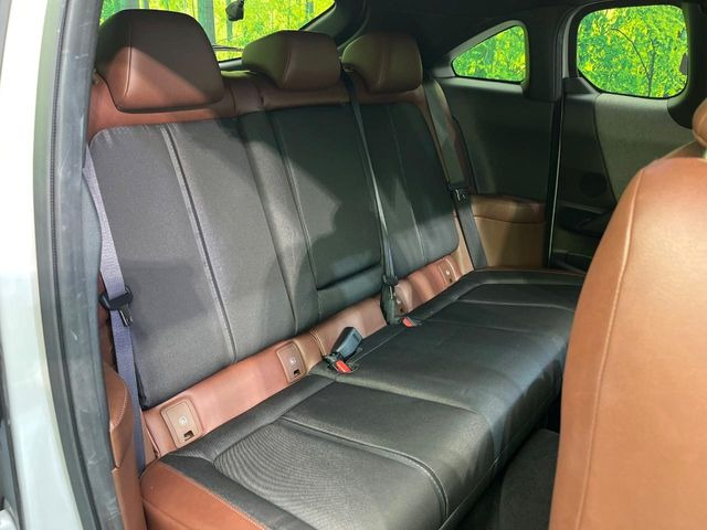 �㕔���Ȃ��C�ɂȂ�悤�ȃL�Y�E�����ւ��蓙�A�傫�ȃ_���[�W�͂Ȃ��A�ǍD�ȏ�Ԃł��B