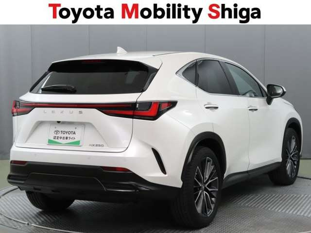 NX250 バージョンL