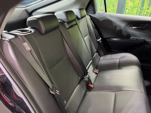 �㕔���Ȃ��C�ɂȂ�悤�ȃL�Y�E�����ւ��蓙�A�傫�ȃ_���[�W�͂Ȃ��A�ǍD�ȏ�Ԃł��B