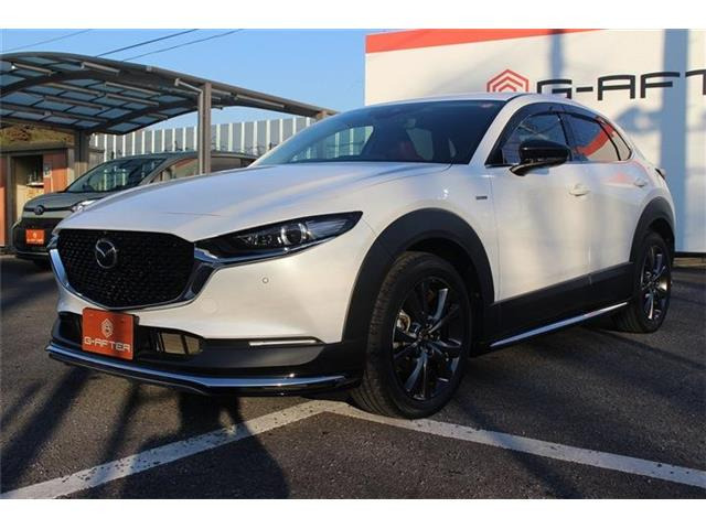 �����X�o���Ȃ����q�l�A���Ǝҗl�ւ̔̔��͂��f�肳���Ă��������܂��B�Ԍ������ԗ��̏ꍇ�́A�Ԍ����擾�������x�������z�ŕ\�����Ă���܂��B