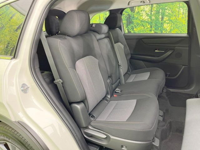 �㕔���Ȃ��C�ɂȂ�悤�ȃL�Y�E�����ւ��蓙�A�傫�ȃ_���[�W�͂Ȃ��A�ǍD�ȏ�Ԃł��B