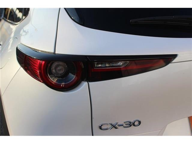 �����X�o���Ȃ����q�l�A���Ǝҗl�ւ̔̔��͂��f�肳���Ă��������܂��B�Ԍ������ԗ��̏ꍇ�́A�Ԍ����擾�������x�������z�ŕ\�����Ă���܂��B