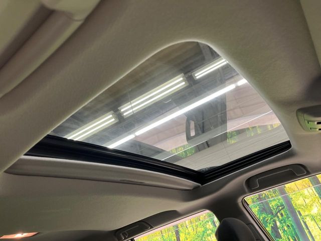 �y���[�����[�t�z�J���������Ղ�̊󏭑����A�T�����[�t����������Ă��܂�!�ԓ��ɖ�����������ꂽ��i�F���y���ވȊO�ɂ��A�ԓ��̋�C���ȒP�Ɋ��C�ł��ĉ��K�ł�!