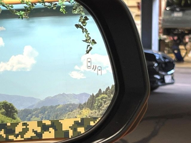 �y�u���C���h�X�|�b�g���j�^�[�z���s���A�h�A�~���[�̎��p�ɂȂ�₷���ӏ��Ɍ㑱�Ԃ��ڋ߂���ƃT�C�h�~���[�̃����Y�Ɍx����\��!�h���C�o�[�ɒ��ӊ��N�����Ă���܂��B