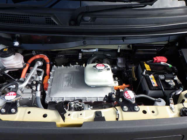 N-VAN e:e: ファン