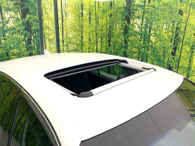 �y�T�����[�t�z�J���������Ղ�̊󏭑����A�T�����[�t����������Ă��܂�!�ԓ��ɖ�����������ꂽ��i�F���y���ވȊO�ɂ��A�ԓ��̋�C���ȒP�Ɋ��C�ł��ĉ��K�ł�!