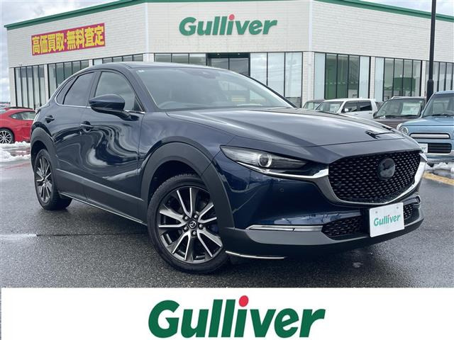 CX-302.0 20S