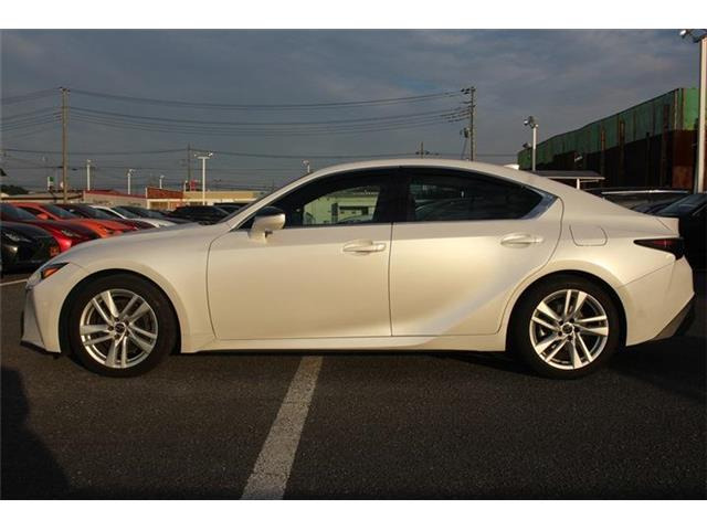 ���Ǝҗl�ւ̔̔��͂��f�肳���Ă��������܂��B �Ԍ������ԗ��̏ꍇ�́A�Ԍ����擾�������x�������z�ŕ\�����Ă���܂��B