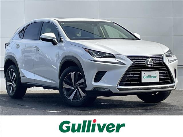 NX300h バージョンL