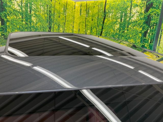 �y���[�����[�t�z�J���������Ղ�̊󏭑����A���[�����[�t����������Ă��܂�!�ԓ��ɖ�����������ꂽ��i�F���y���ވȊO�ɂ��A�ԓ��̋�C���ȒP�Ɋ��C�ł��ĉ��K�ł�!