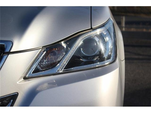 �����X�o���Ȃ����q�l�A���Ǝҗl�ւ̔̔��͂��f�肳���Ă��������܂��B�Ԍ������ԗ��̏ꍇ�́A�Ԍ����擾�������x�������z�ŕ\�����Ă���܂��B