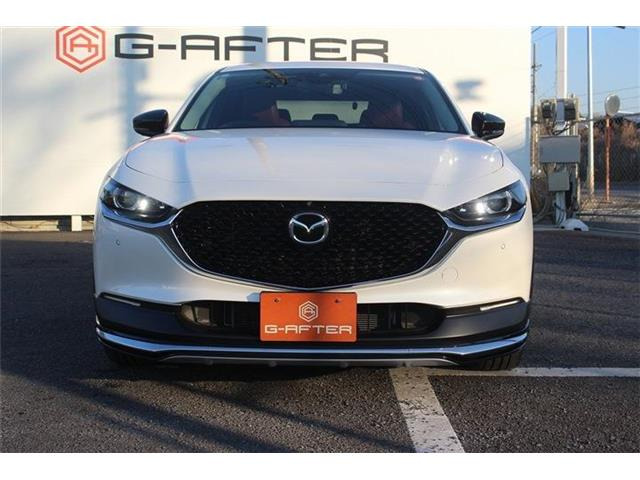 �����X�o���Ȃ����q�l�A���Ǝҗl�ւ̔̔��͂��f�肳���Ă��������܂��B�Ԍ������ԗ��̏ꍇ�́A�Ԍ����擾�������x�������z�ŕ\�����Ă���܂��B