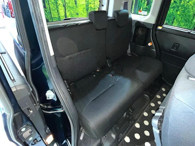 �㕔���Ȃ��C�ɂȂ�悤�ȃL�Y�E�����ւ��蓙�A�傫�ȃ_���[�W�͂Ȃ��A�ǍD�ȏ�Ԃł��B