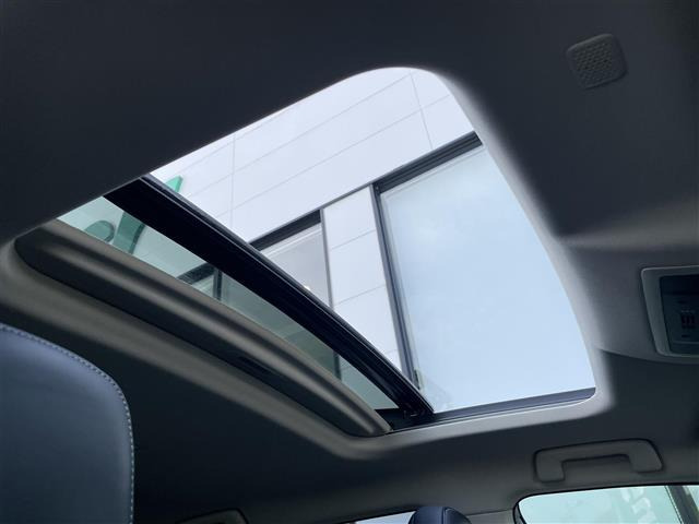 NX300h バージョンL