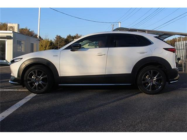 �����X�o���Ȃ����q�l�A���Ǝҗl�ւ̔̔��͂��f�肳���Ă��������܂��B�Ԍ������ԗ��̏ꍇ�́A�Ԍ����擾�������x�������z�ŕ\�����Ă���܂��B