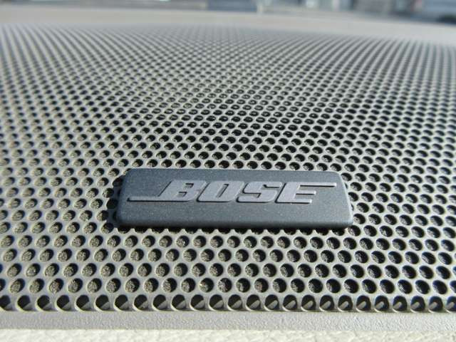 ムラーノ2.5 250XV