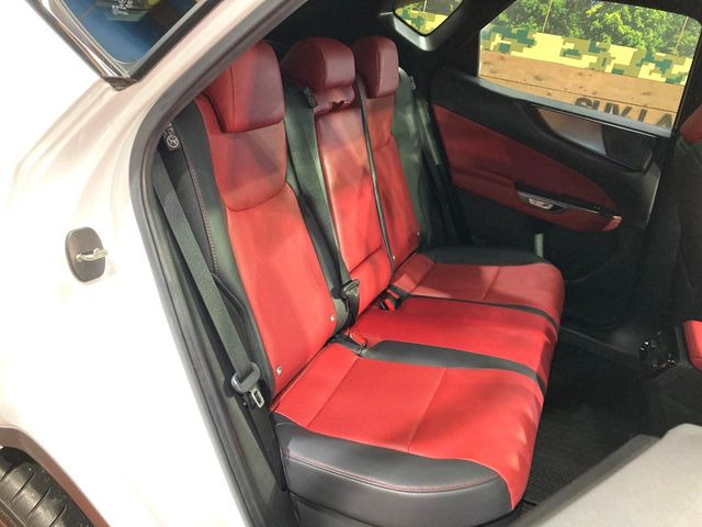 �㕔���Ȃ��C�ɂȂ�悤�ȃL�Y�E�����ւ��蓙�A�傫�ȃ_���[�W�͂Ȃ��A�ǍD�ȏ�Ԃł��B